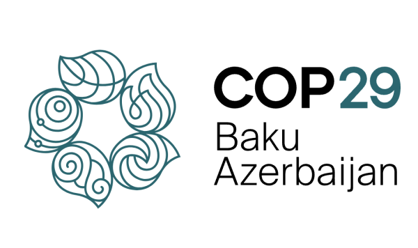 COP29 and a Potential Role of Azerbaijan in Future Climate Change Policy Efforts